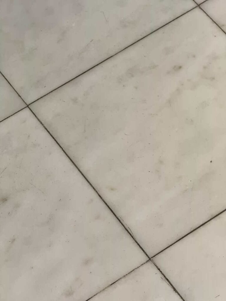 H1